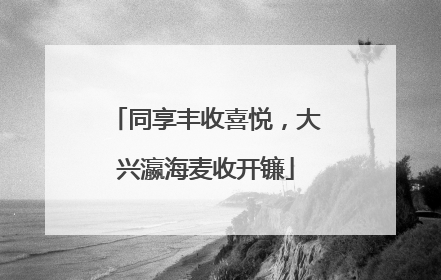 同享丰收喜悦，大兴瀛海麦收开镰