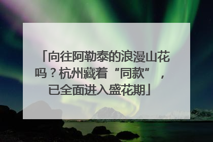向往阿勒泰的浪漫山花吗？杭州藏着“同款”，已全面进入盛花期