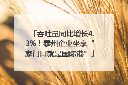 吞吐量同比增长4.3%！泰州企业坐享“家门口就是国际港”