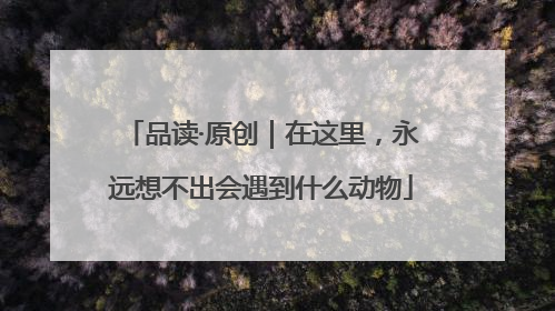 品读·原创｜在这里，永远想不出会遇到什么动物