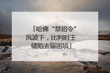 哈佛“禁招令”风波下，比利时王储陷去留困境