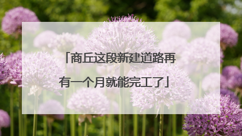 商丘这段新建道路再有一个月就能完工了