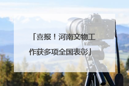 喜报！河南文物工作获多项全国表彰