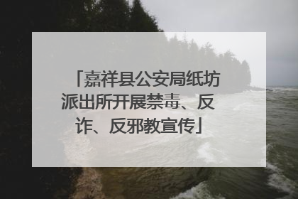 嘉祥县公安局纸坊派出所开展禁毒、反诈、反邪教宣传