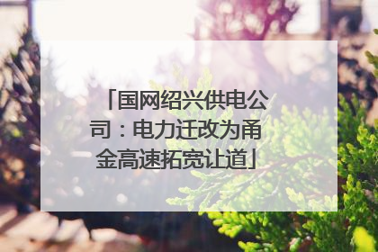 国网绍兴供电公司：电力迁改为甬金高速拓宽让道