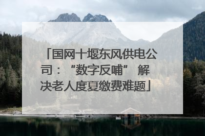 国网十堰东风供电公司：“数字反哺” 解决老人度夏缴费难题
