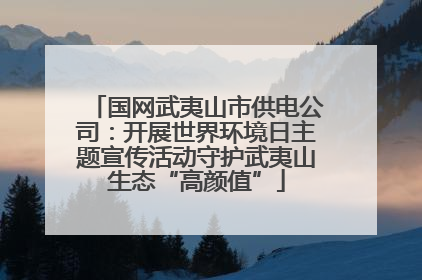 国网武夷山市供电公司：开展世界环境日主题宣传活动守护武夷山生态“高颜值”