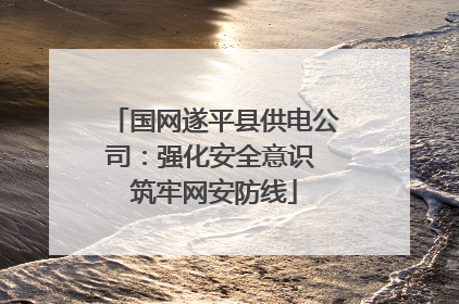 国网遂平县供电公司：强化安全意识 筑牢网安防线