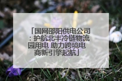 国网邵阳供电公司：护航北丰冷链物流园用电 助力跨境电商新引擎起航