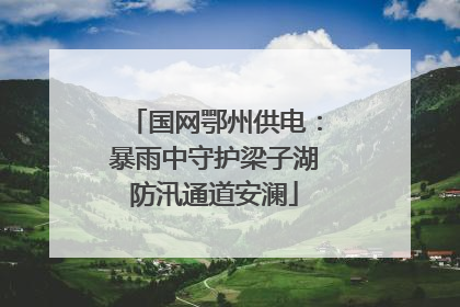 国网鄂州供电：暴雨中守护梁子湖防汛通道安澜