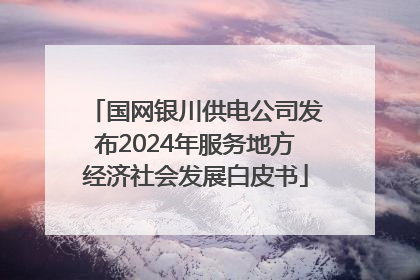 国网银川供电公司发布2024年服务地方经济社会发展白皮书