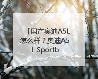 国产奥迪A5L怎么样？奥迪A5L Sportback以科技重塑豪华运动轿车市场格局