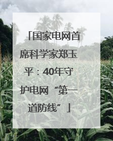 国家电网首席科学家郑玉平：40年守护电网“第一道防线”