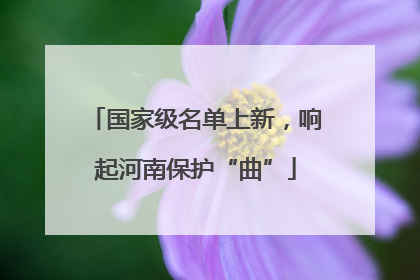 国家级名单上新，响起河南保护“曲”