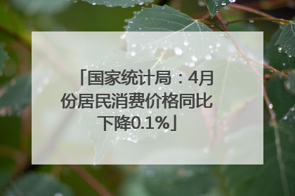 国家统计局：4月份居民消费价格同比下降0.1%