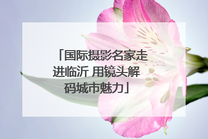 国际摄影名家走进临沂 用镜头解码城市魅力