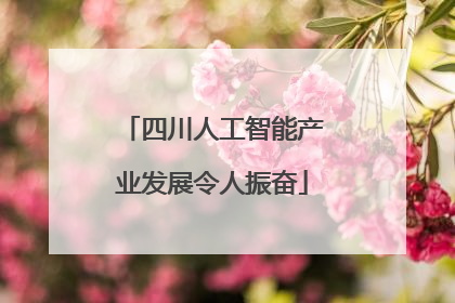 四川人工智能产业发展令人振奋