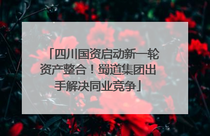四川国资启动新一轮资产整合！蜀道集团出手解决同业竞争