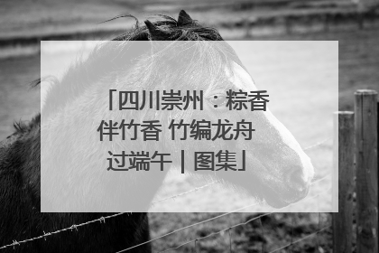 四川崇州：粽香伴竹香 竹编龙舟过端午｜图集