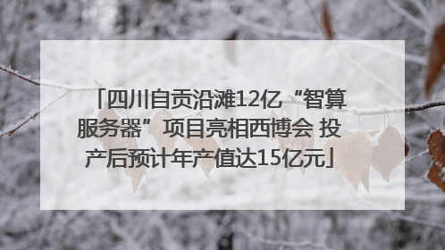 四川自贡沿滩12亿“智算服务器”项目亮相西博会 投产后预计年产值达15亿元