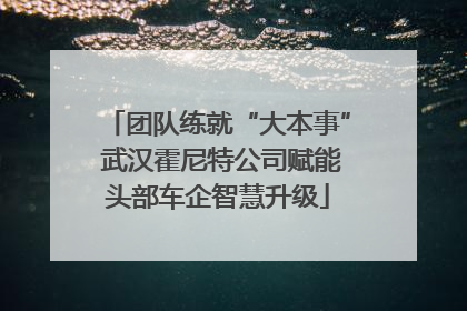 团队练就“大本事” 武汉霍尼特公司赋能头部车企智慧升级