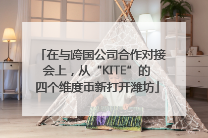 在与跨国公司合作对接会上，从“KITE”的四个维度重新打开潍坊