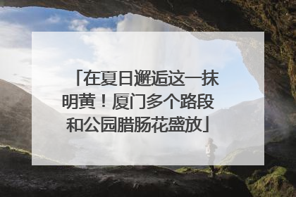 在夏日邂逅这一抹明黄！厦门多个路段和公园腊肠花盛放