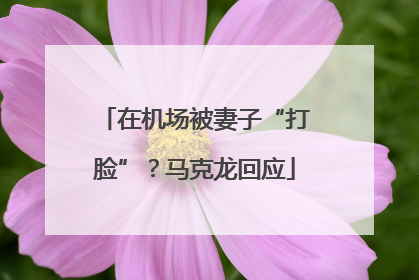 在机场被妻子“打脸”？马克龙回应