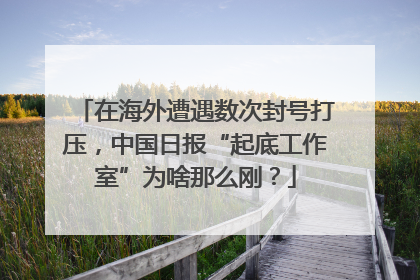 在海外遭遇数次封号打压，中国日报“起底工作室”为啥那么刚？
