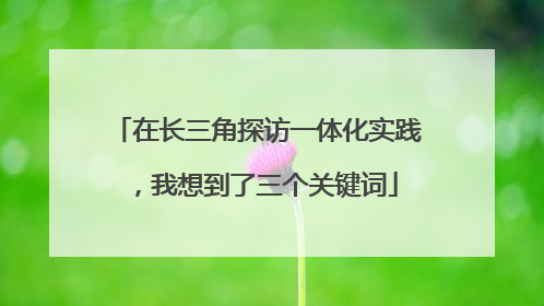 在长三角探访一体化实践，我想到了三个关键词