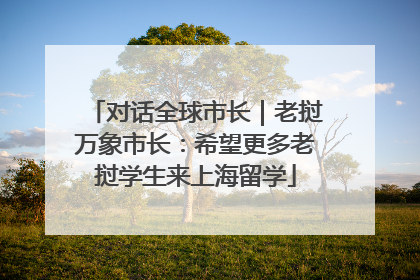 对话全球市长｜老挝万象市长：希望更多老挝学生来上海留学