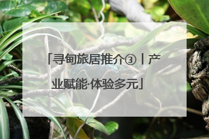寻甸旅居推介③丨产业赋能·体验多元