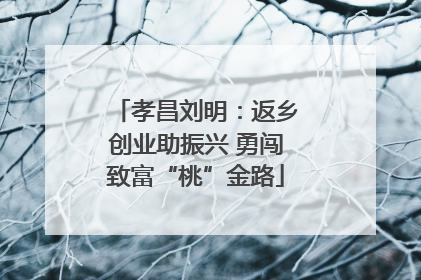 孝昌刘明：返乡创业助振兴 勇闯致富“桃”金路