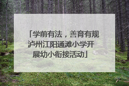 学前有法，善育有规 泸州江阳通滩小学开展幼小衔接活动