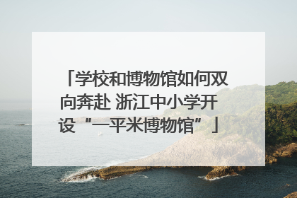 学校和博物馆如何双向奔赴 浙江中小学开设“一平米博物馆”