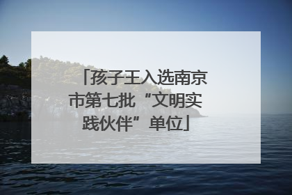 孩子王入选南京市第七批“文明实践伙伴”单位
