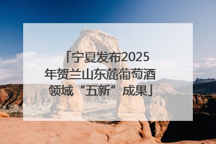 宁夏发布2025年贺兰山东麓葡萄酒领域“五新”成果