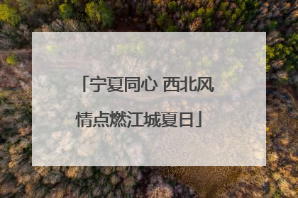 宁夏同心 西北风情点燃江城夏日