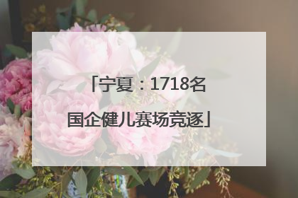 宁夏：1718名国企健儿赛场竞逐
