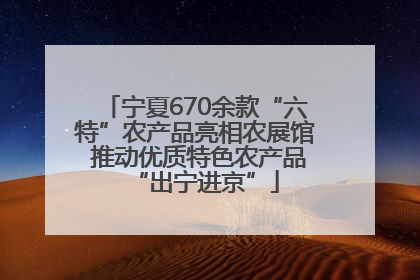 宁夏670余款“六特”农产品亮相农展馆 推动优质特色农产品“出宁进京”