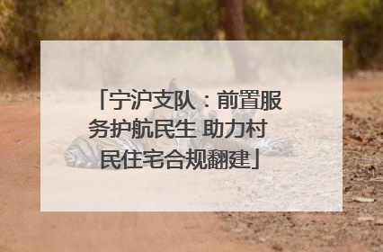 宁沪支队：前置服务护航民生 助力村民住宅合规翻建