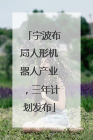 宁波布局人形机器人产业，三年计划发布