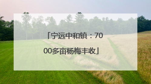 宁远中和镇：7000多亩杨梅丰收