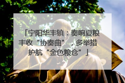 宁阳华丰镇：奏响夏粮丰收“协奏曲”，多举措护航“金色粮仓”