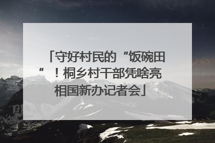 守好村民的“饭碗田”！桐乡村干部凭啥亮相国新办记者会