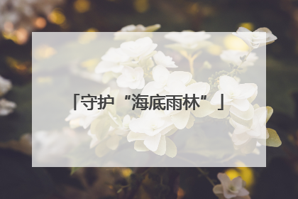 守护“海底雨林”