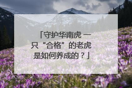 守护华南虎 一只“合格”的老虎是如何养成的？