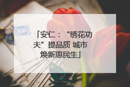 安仁：“绣花功夫”提品质 城市焕新惠民生