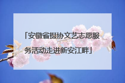 安徽省摄协文艺志愿服务活动走进新安江畔