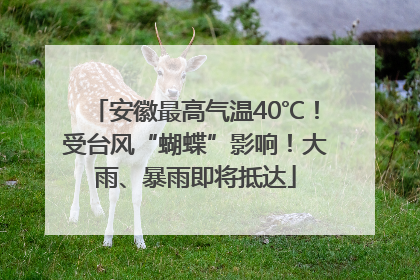 安徽最高气温40℃！受台风“蝴蝶”影响！大雨、暴雨即将抵达